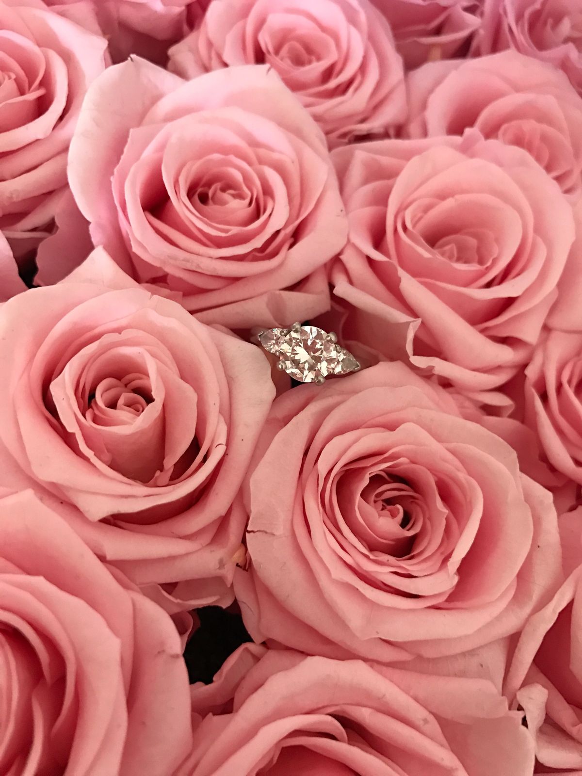 Pink roses with an engagement ring
